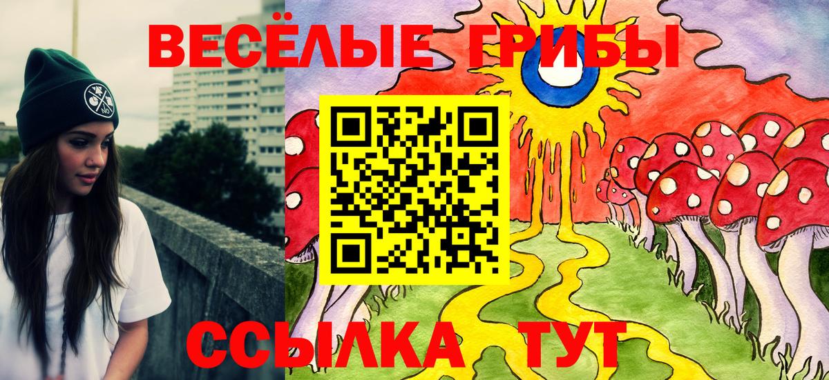 Псилоцибиновые грибы мухоморы Таганрог